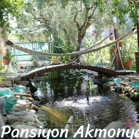 Akmonya Pansiyon Eriklice Extérieur photo