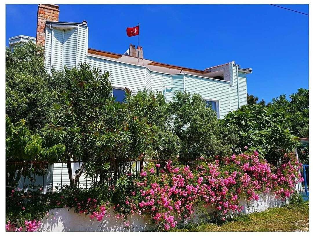 Akmonya Pansiyon Eriklice Extérieur photo